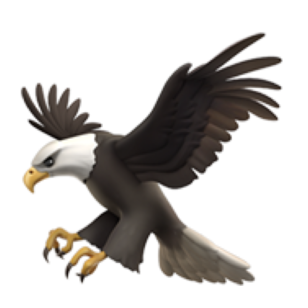 HawkDNS